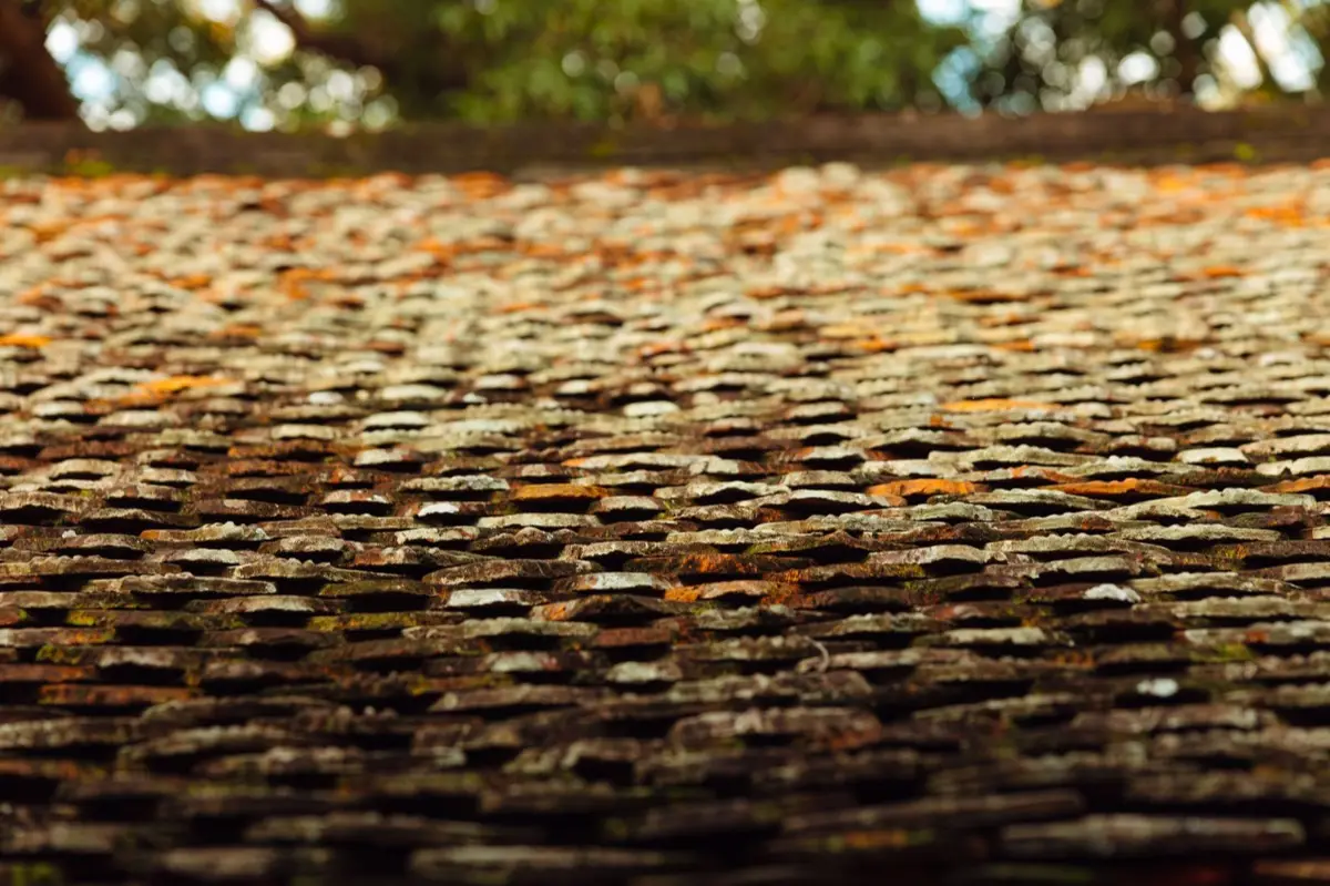 Aging shingle roof with moss growth and granule loss in Rio Rancho, NM